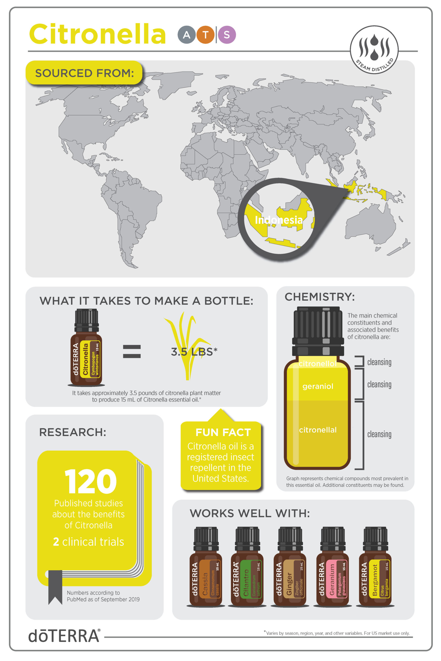 Citronella_Infographic