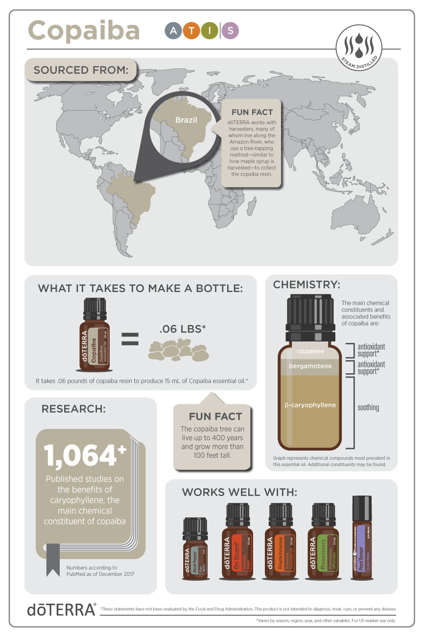 Copaiba_Infographic_v3