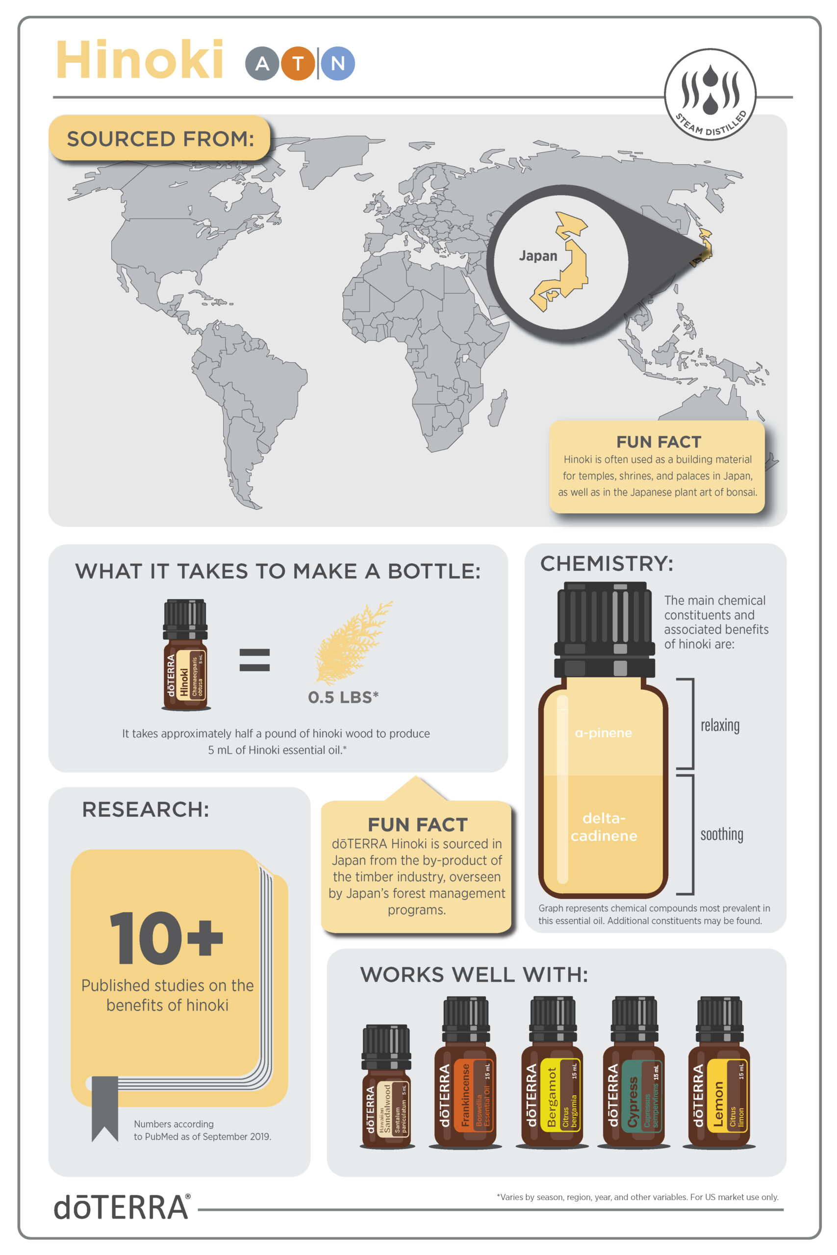 Hinoki_Infographic