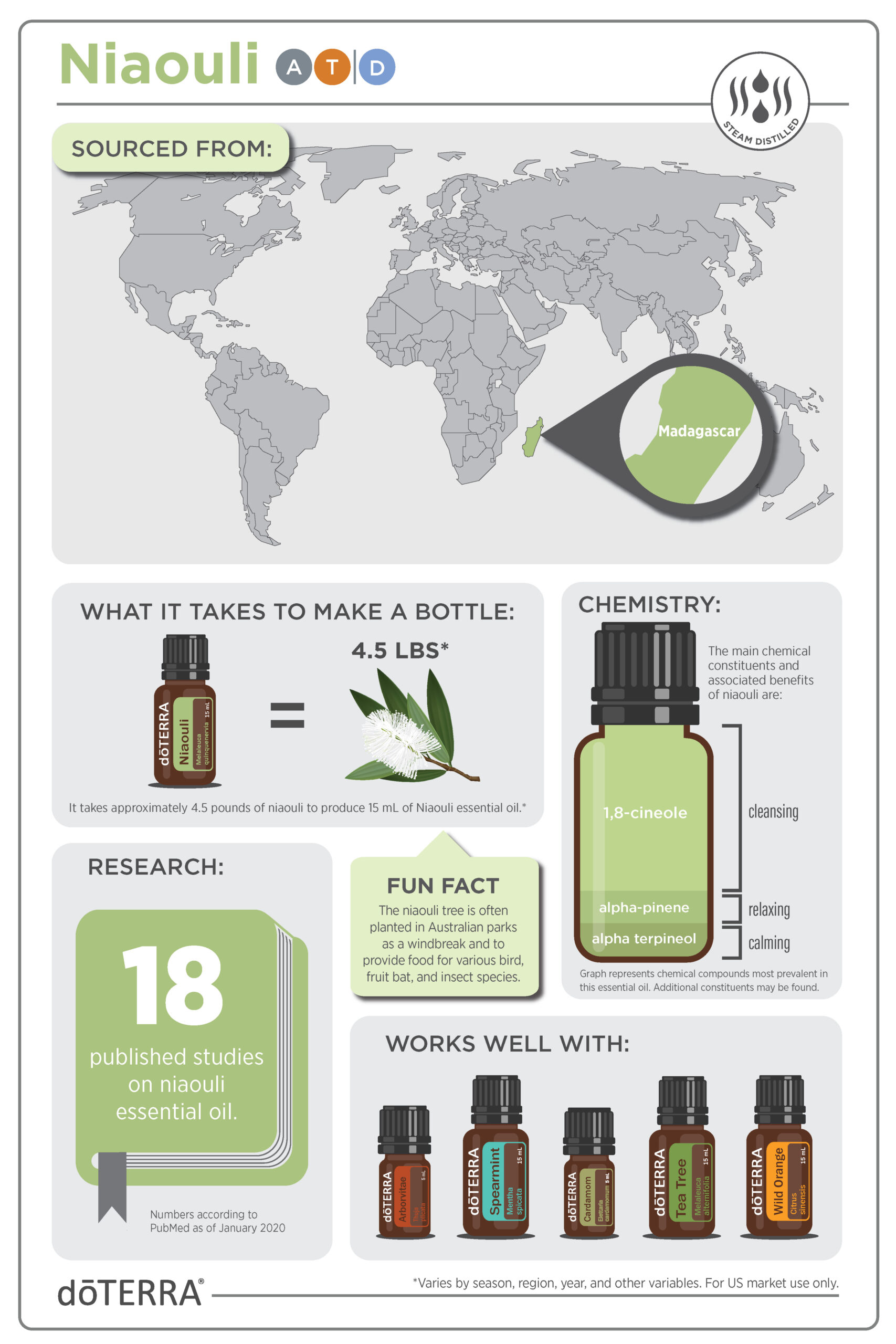 Niaouli_Infographic